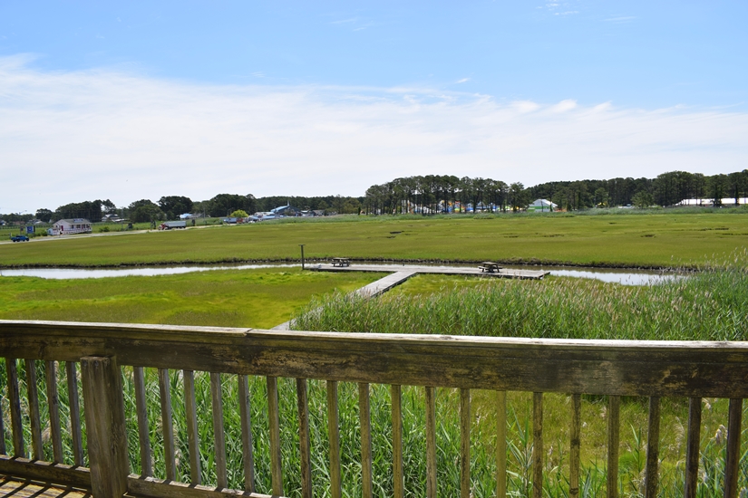 Island Creek Retreat