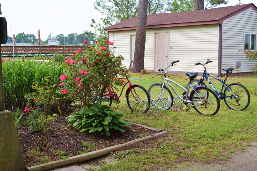 Rise & Shine - Assateague Inn #210