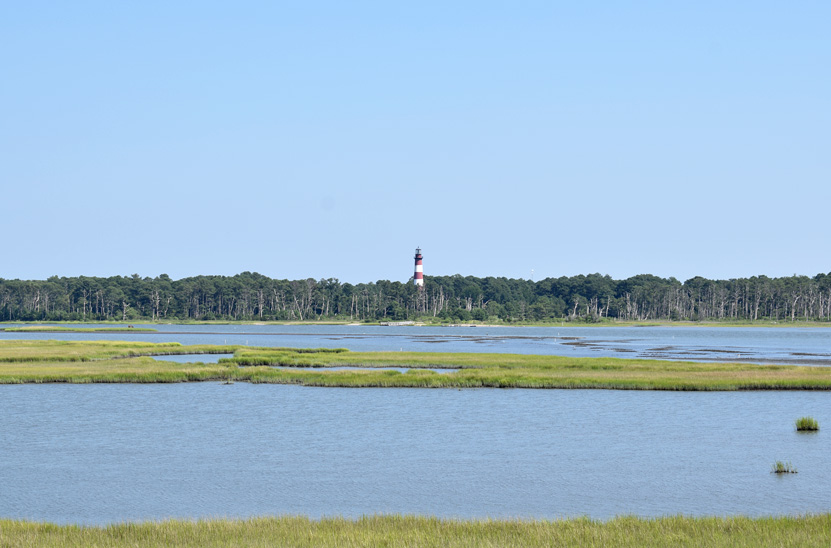 Lighthouse Lookout