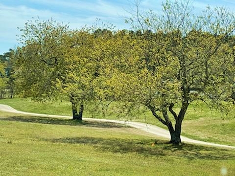 Neversink Golfview