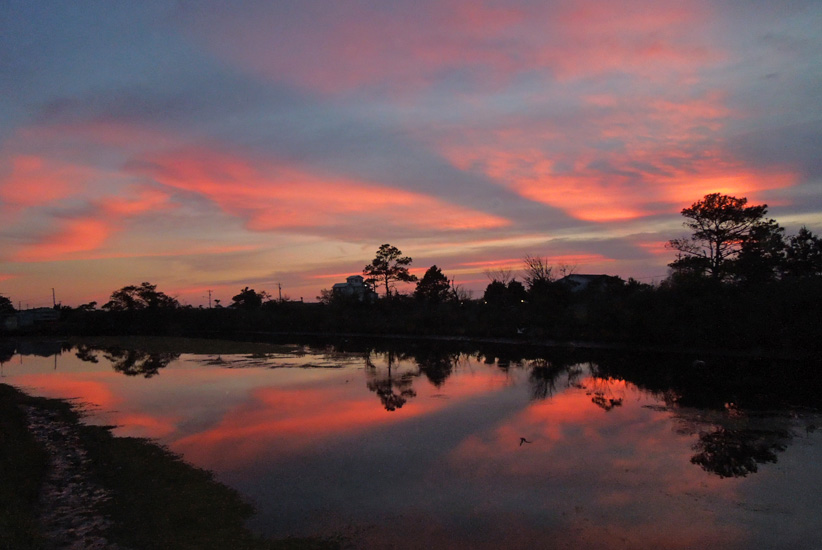 Millers' Marsh