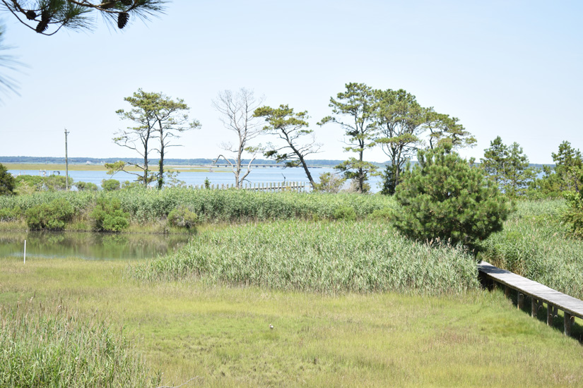 Millers' Marsh