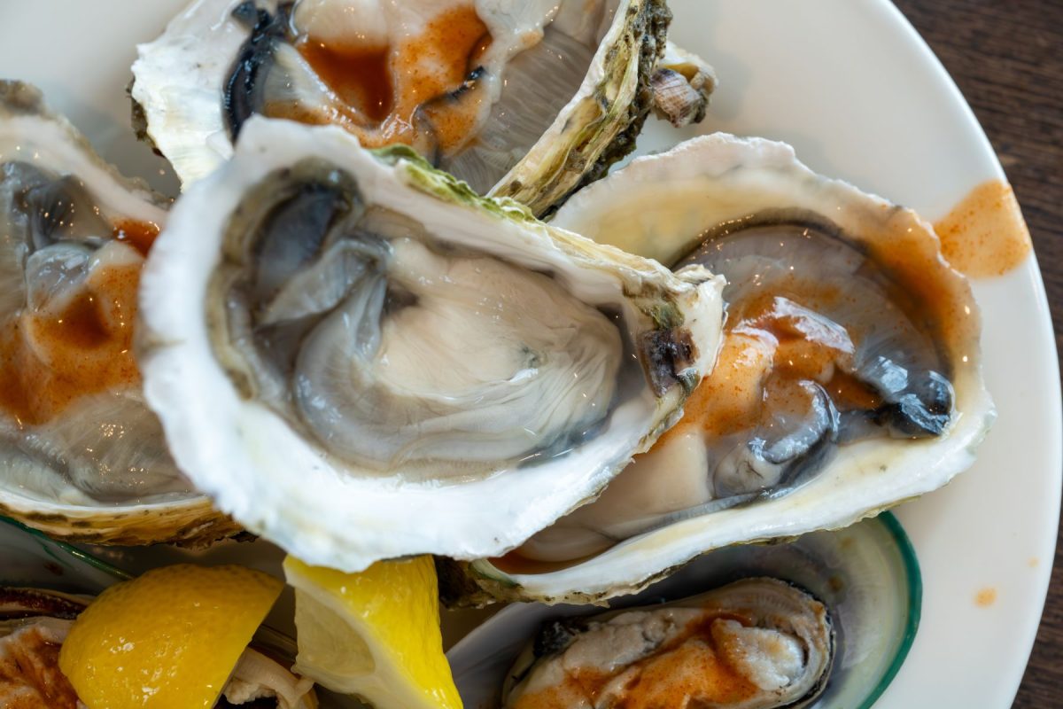 fresh-shucked-oysters | Island Getaways fresh shucked oysters